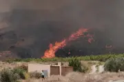 Spain Wildfire Kills 12, 23 Missing in One of Country's Deadliest Blazes