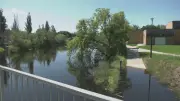 Sturgeon River Receding but St. Albert Parks Still Flooded