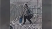 Suspect Sought in 2 Hate-Motivated Assaults in Vaughan: Police