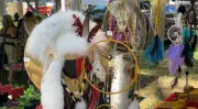 Thousands Gather at Kahnawake's Echoes of a Proud Nation Pow-Wow
