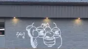 Tips sought after year-long graffiti campaign in Sault Ste. Marie