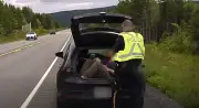 Two charged after man sits in open hatchback on Nova Scotia highway