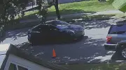 Vancouver Police Seek Tesla Driver in Distraction Theft Case