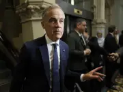Why Mark Carney Is Succeeding on Pipelines: Following Public Opinion