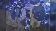 Winnipeg Police Seek Suspect in Bear Spray Incident at Hotel