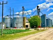 Worker Trapped in Grain Elevator at Lakeshore Farm Prompts Major Rescue Operation